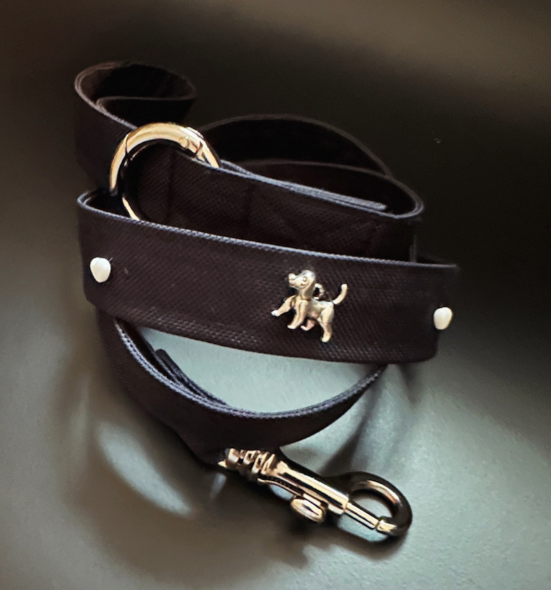 guinzaglio con applicazioni