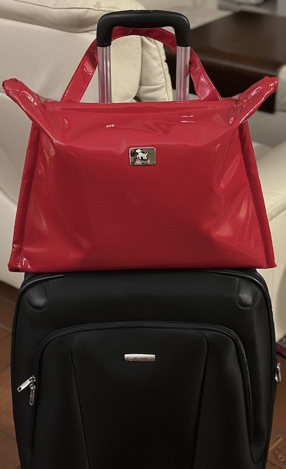 Borsa Cuccia Vernice 1 Borsa Cuccia Vernice